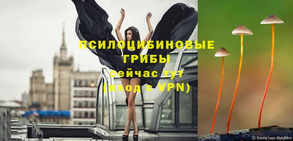 шишки Алзамай
