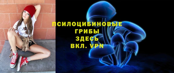 ПСИЛОЦИБИНОВЫЕ ГРИБЫ Алексин