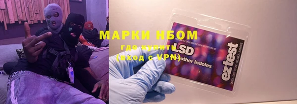 ПСИЛОЦИБИНОВЫЕ ГРИБЫ Алексин