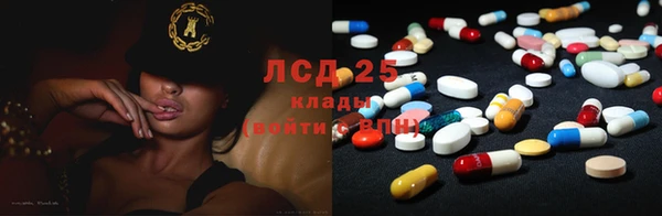 шишки Алзамай