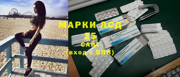 шишки Алзамай