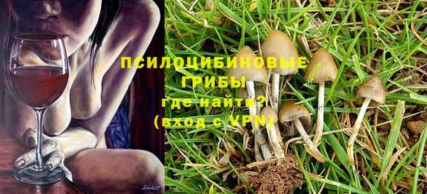 шишки Алзамай