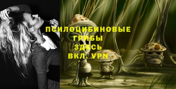 PSILOCYBIN Алексеевка