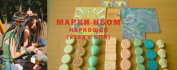 шишки Алзамай