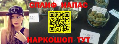 молекула духа Партизанск