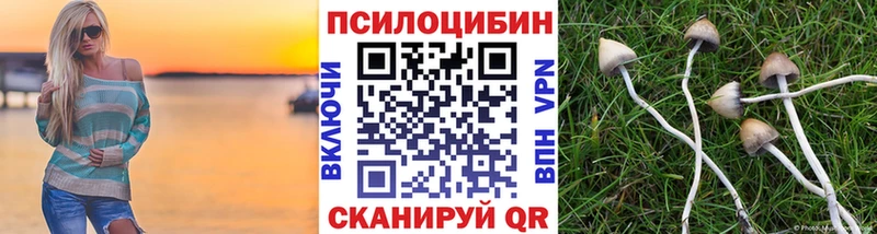 продажа наркотиков  Томск  Псилоцибиновые грибы MAGIC MUSHROOMS 