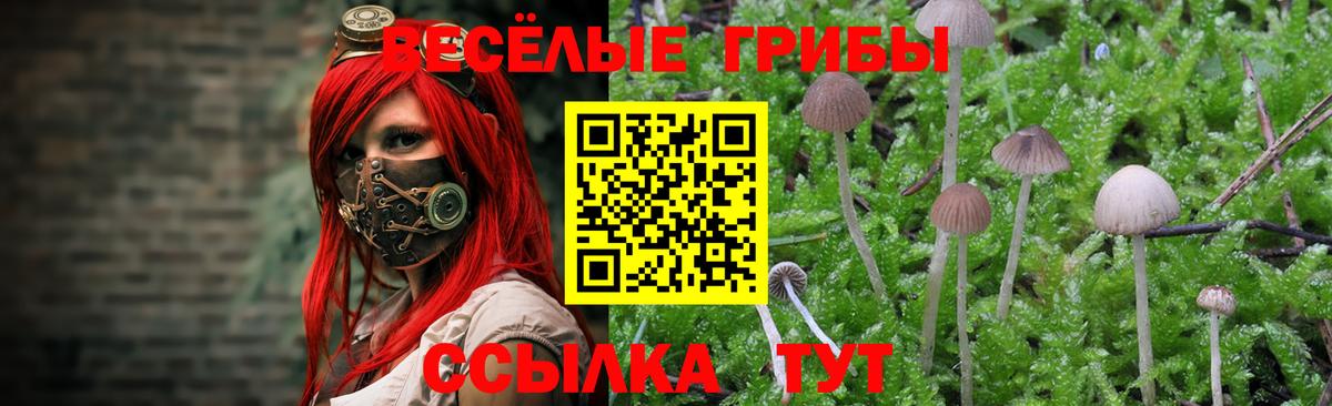 где можно купить   Вход с VPN  Томск  Галлюциногенные грибы мухоморы 